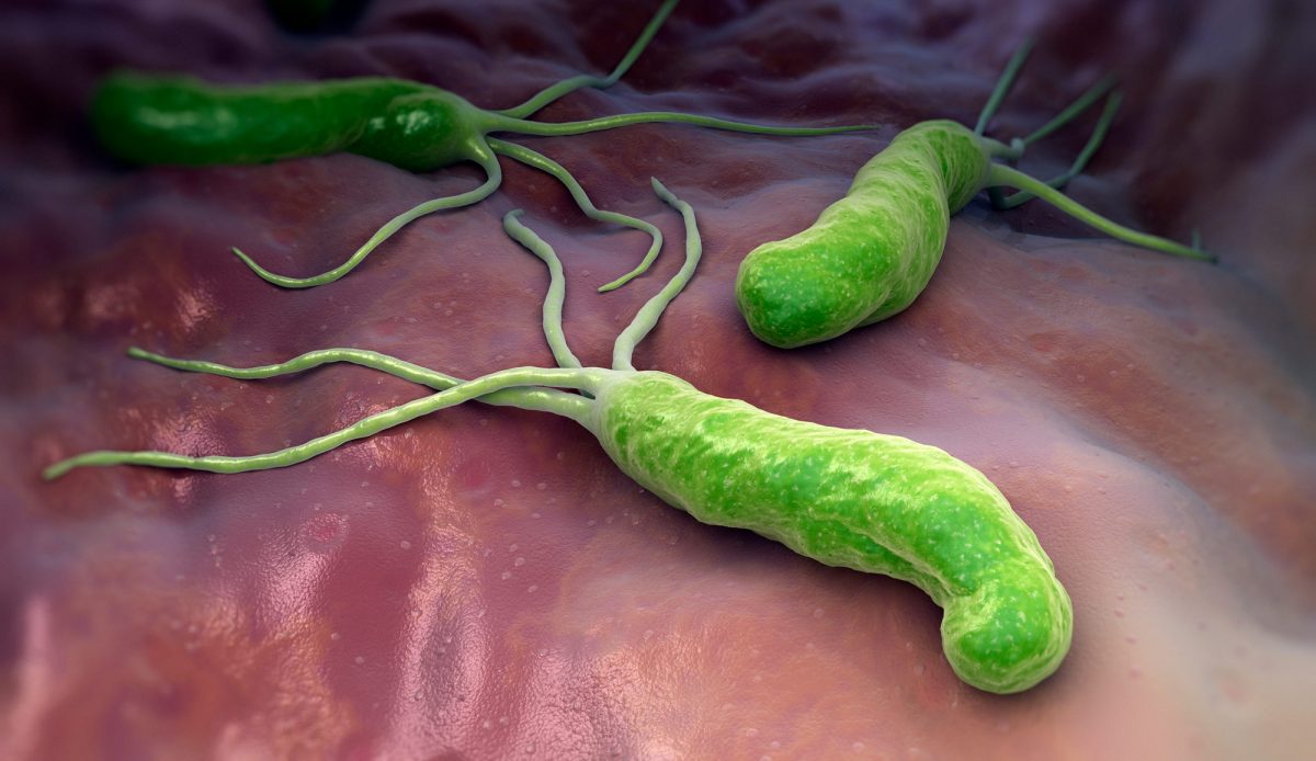 Talicia: Highly Effective Eradication Regimen for Helicobacter pylori