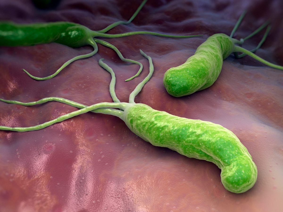 Talicia: Highly Effective Eradication Regimen for Helicobacter pylori