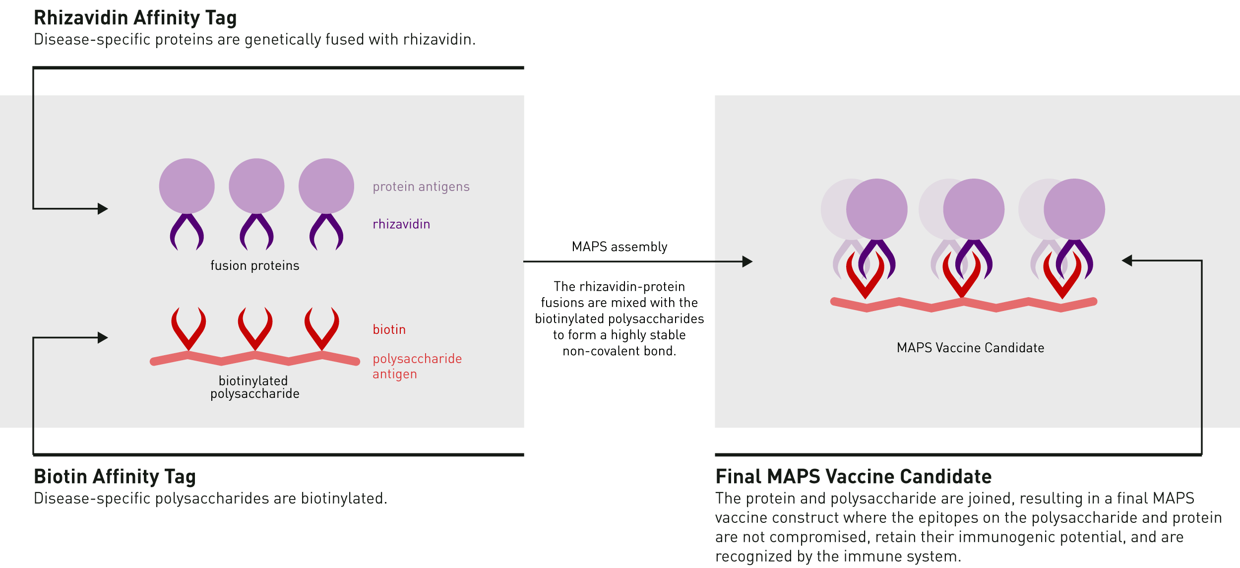maps platform 01 - Prevnar 20: New Pneumococcal Vaccine