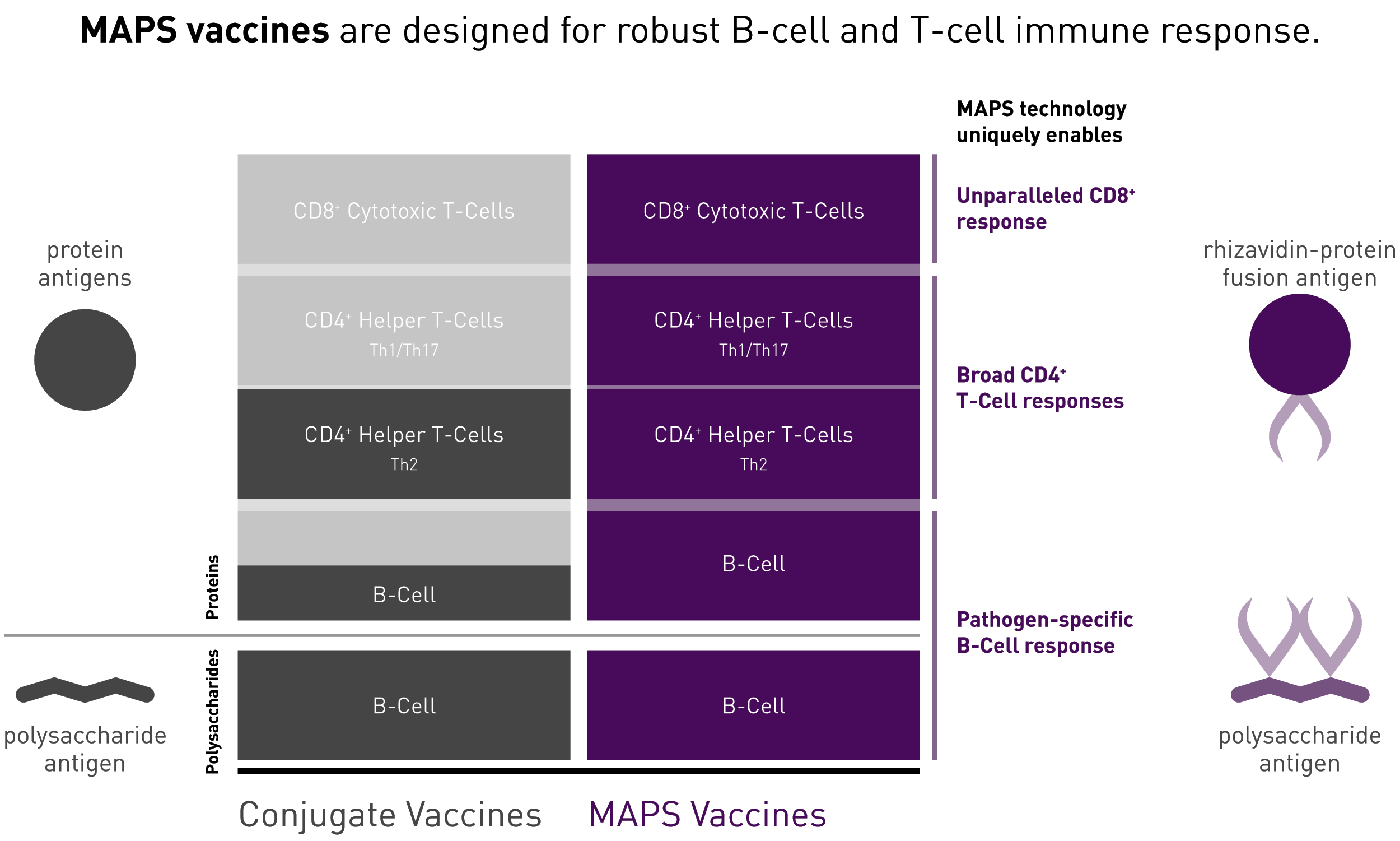 maps platform 02 - Prevnar 20: New Pneumococcal Vaccine