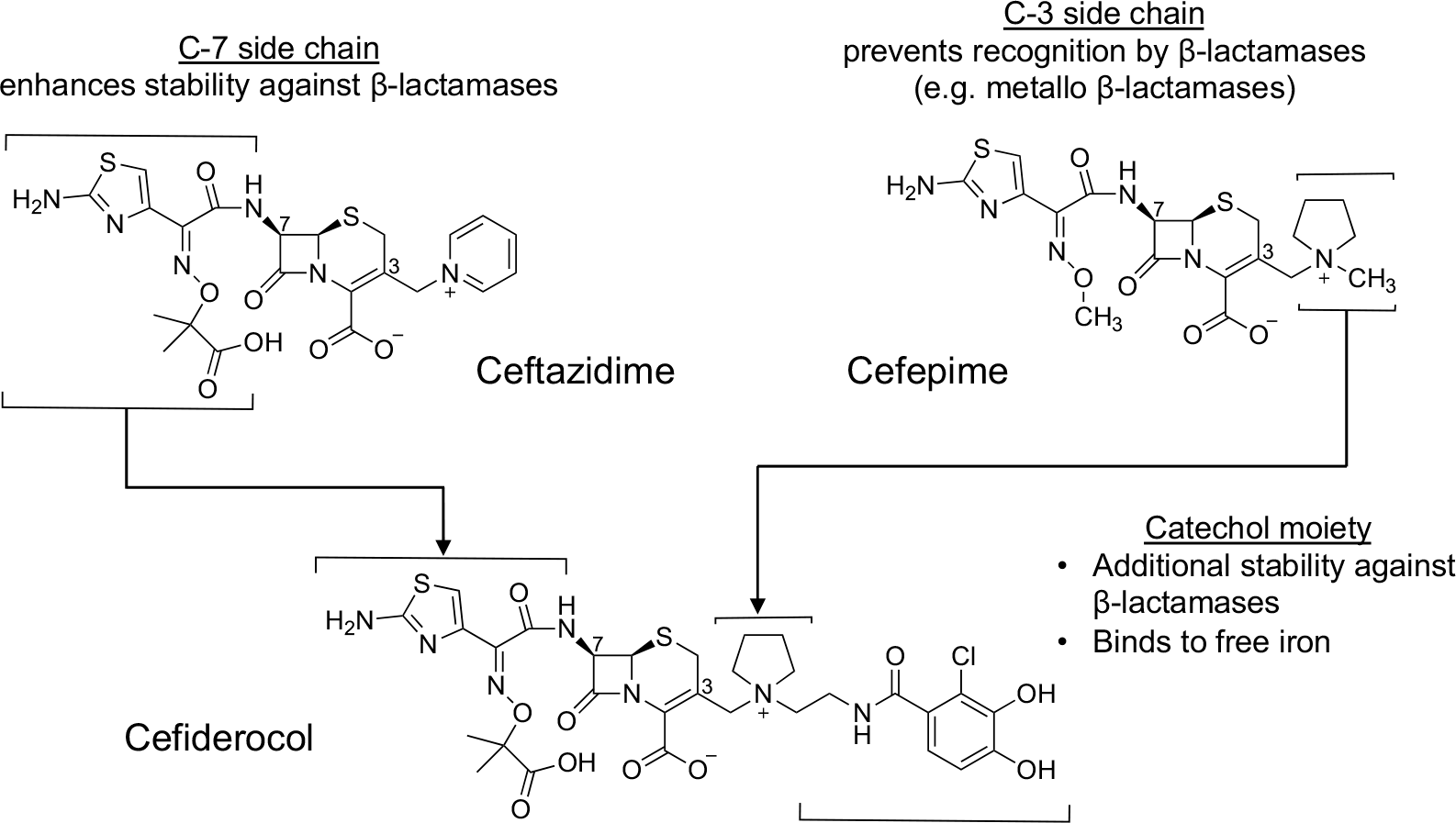 cefiderocol structure - Fetroja/Fetcroja: New Cephalosporin That Bypasses All Antibiotic Resistance