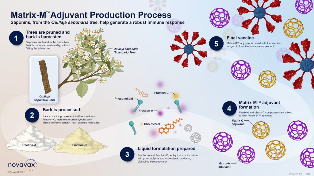 covovax nuvaxovid adjuvant matrix m production 1024x576 - Covovax/Nuvaxovid: Nanoparticle Vaccine for COVID-19
