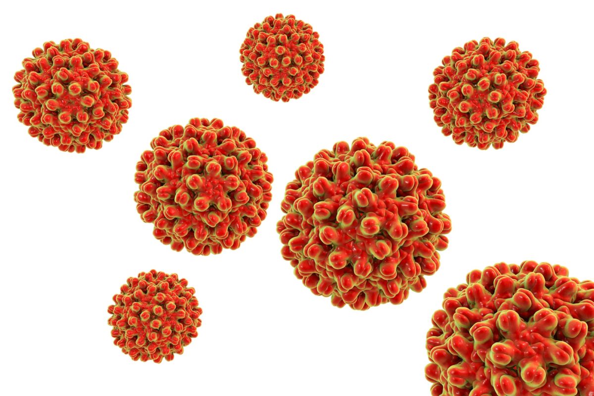 Hepcludex: Effective Treatment for Chronic Hepatitis D
